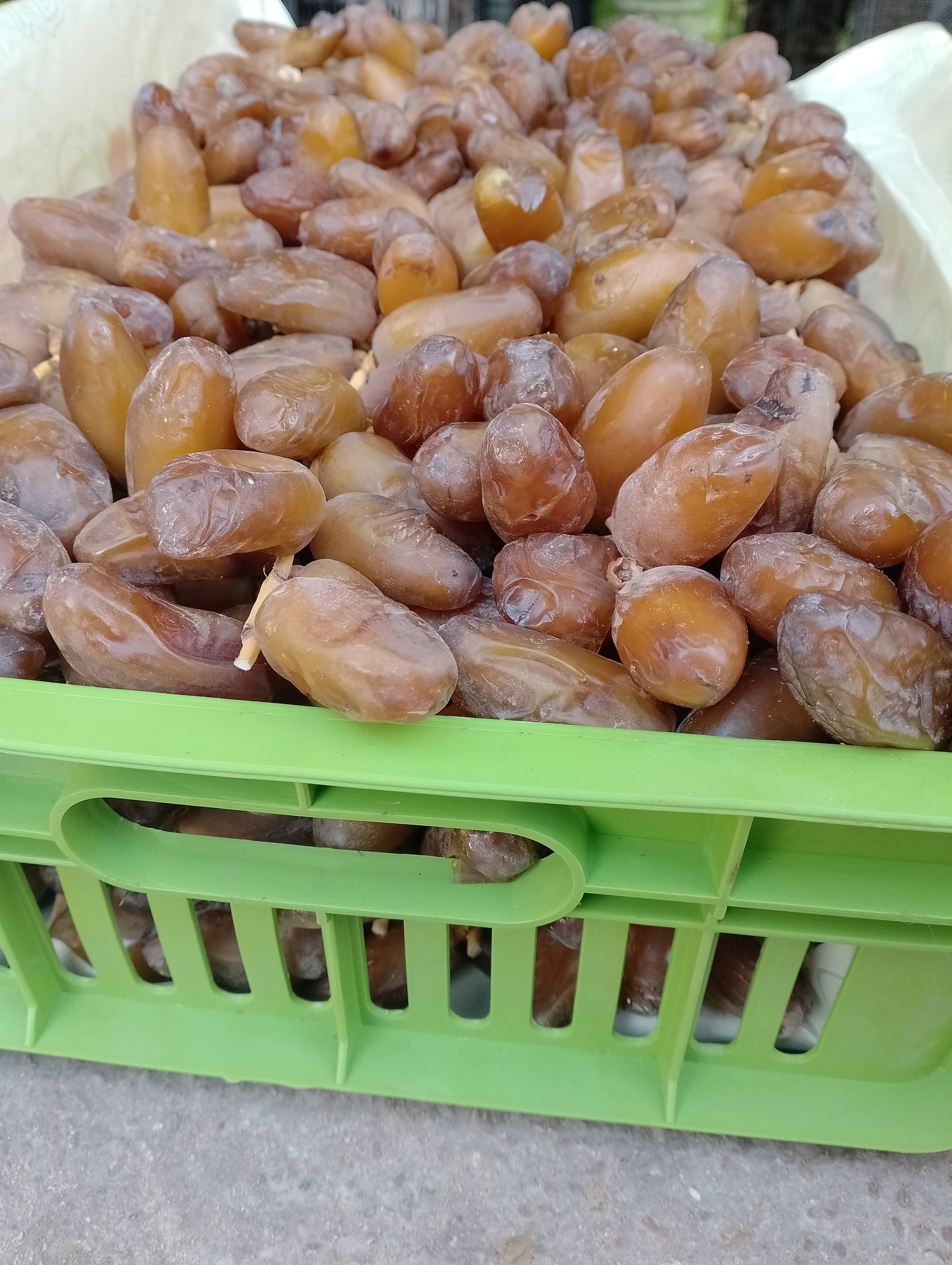 Premium Biskra Dates 1