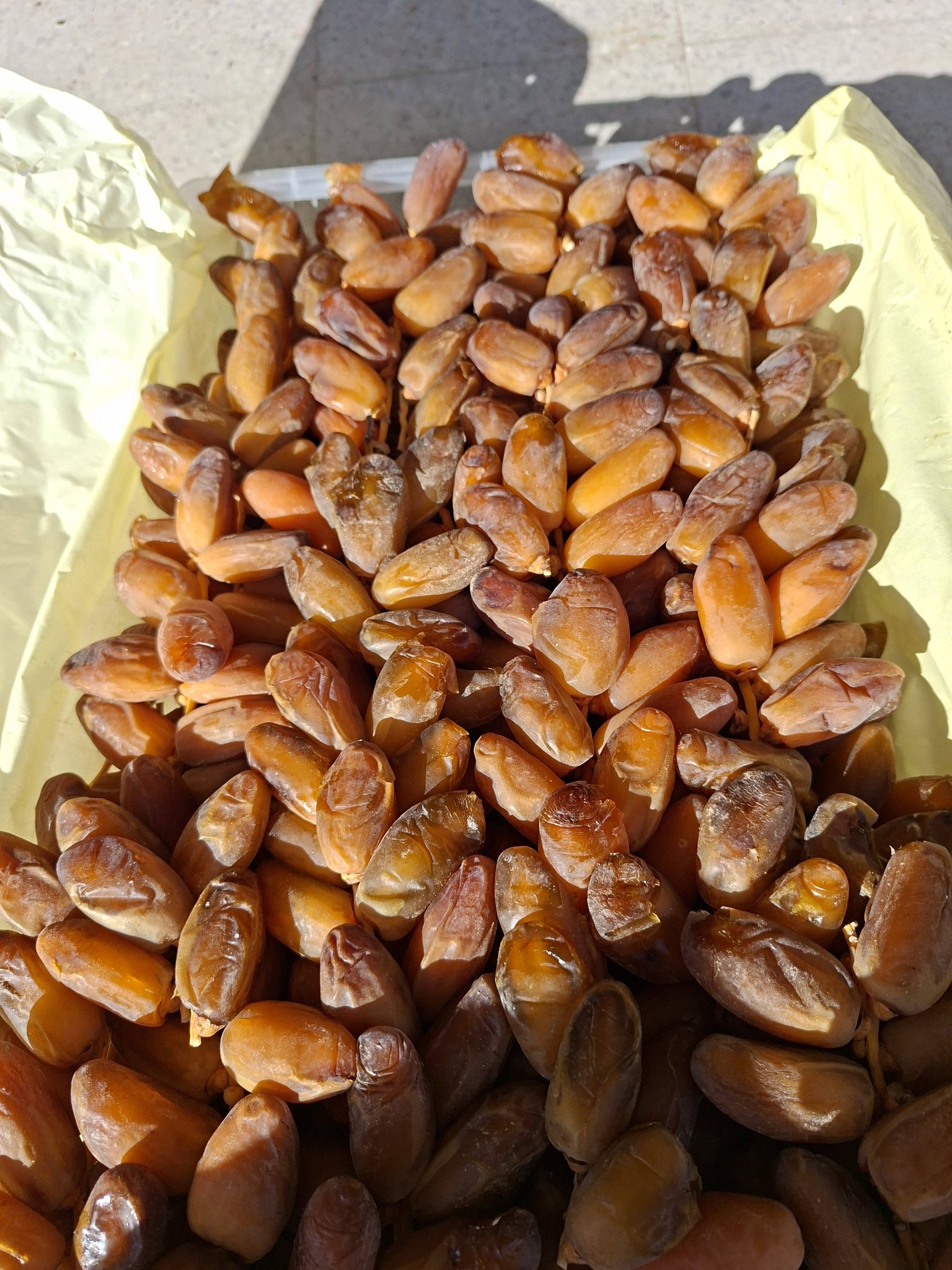 Premium Biskra Dates 4