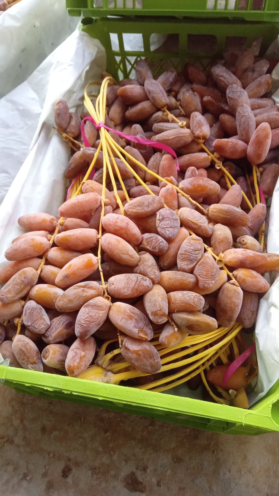 Premium Biskra Dates 5