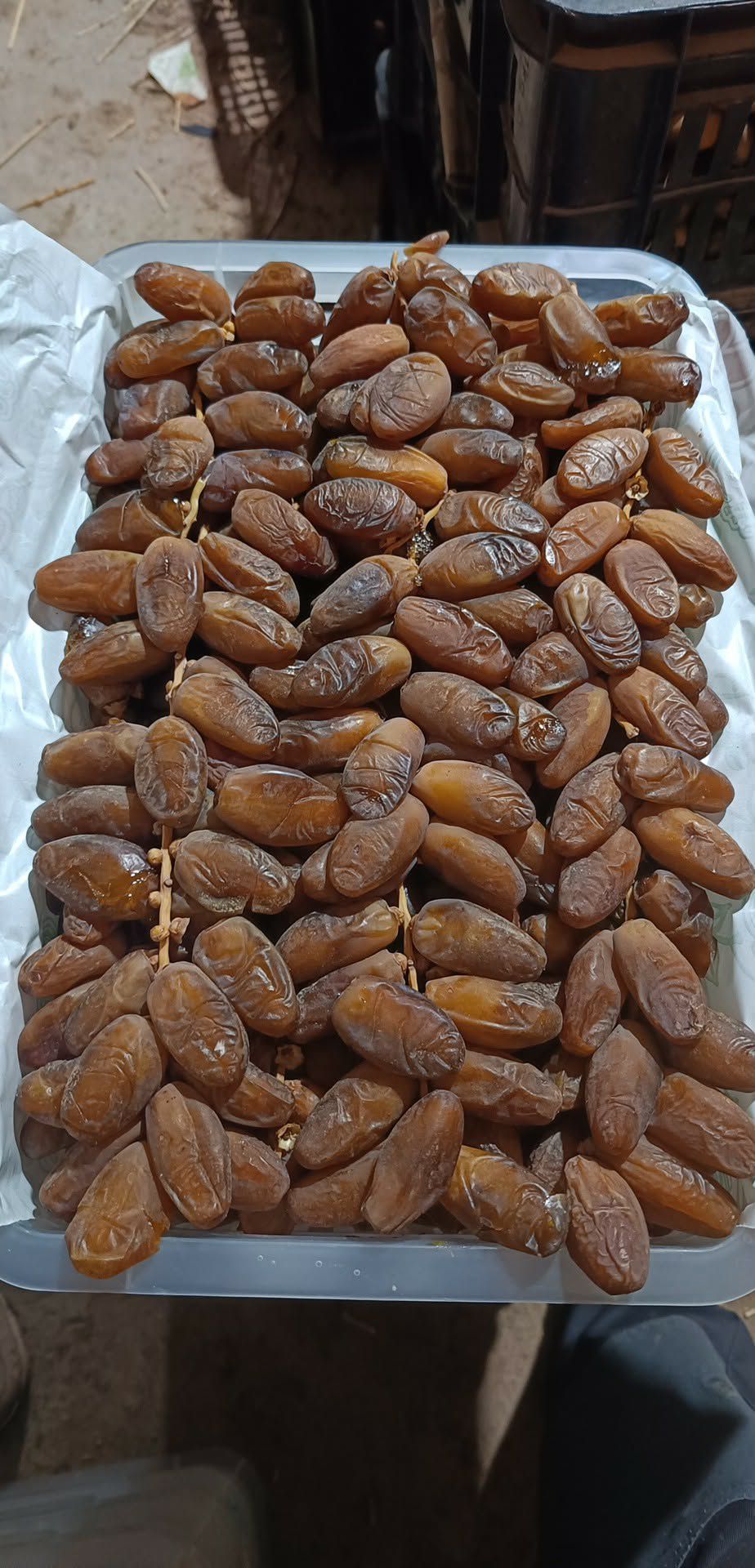 Premium Biskra Dates 6
