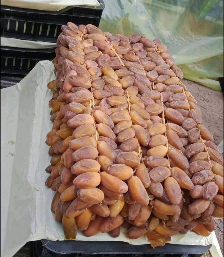 Premium Biskra Dates 9